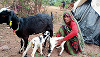 Women’s Livelihood Diversification